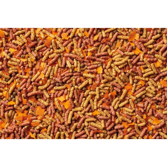 OASE Dynamix Sticks Mix Plus Snack 8 L Pond Fish Food with Gammarus Treat, Supports Dandruff, Ideal for Mixed Keeping of Natural and Red-Coloured Fish OASE Dynamix Sticks Mix Plus Snack 8 L Pond Fish Food with Gammarus Treat, Supports Dandruff, Ideal for Mixed Keeping of Natural and Red-Coloured Fish