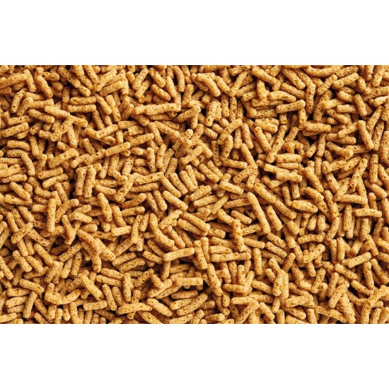 OASE Dynamix Sticks Vital 4 L, Fish Food, Pond Fish Food, Complete Food, Rich Pond Sticks with Vitamins and Minerals, Even Growth, Iridescent Colours OASE Dynamix Sticks Vital 4 L, Fish Food, Pond Fish Food, Complete Food, Rich Pond Sticks with Vitamins and Minerals, Even Growth, Iridescent Colours