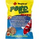 Pond Pellet Mix 3.3 L / 462 g - Food for Koi & Goldfish - Tropical Pellet Food for Ornamental Fish in Garden Pond - Colour-Promoting & with Reduced Phosphorus Content