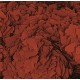 TROPICAL Koi Croissant Color Pack of 1 x 3 l