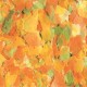 TROPICAL Pond Flakes 5000 ml Pack of 1 TROPICAL Pond Flakes 5000 ml Pack of 1