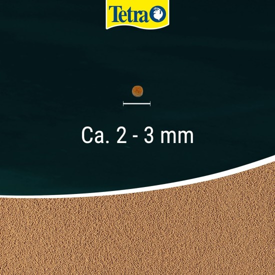 Tetra Pond Goldfish Main Food for All Goldfish and Cold water Fish in the Garden Pond Various Varieties, 1 L, multicoloured Tetra Pond Goldfish Main Food for All Goldfish and Cold water Fish in the Garden Pond Various Varieties, 1 L, multicoloured