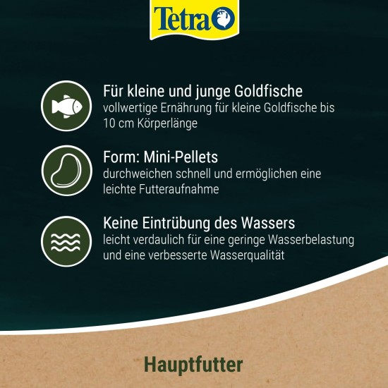 Tetra Pond Goldfish Main Food for All Goldfish and Cold water Fish in the Garden Pond Various Varieties, 1 L, multicoloured Tetra Pond Goldfish Main Food for All Goldfish and Cold water Fish in the Garden Pond Various Varieties, 1 L, multicoloured