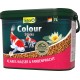 Tetra Pond Koi Sticks Koi Food for Colourful Fish and Improved Water Quality, 7 L Bucket Tetra Pond Koi Sticks Koi Food for Colourful Fish and Improved Water Quality, 7 L Bucket