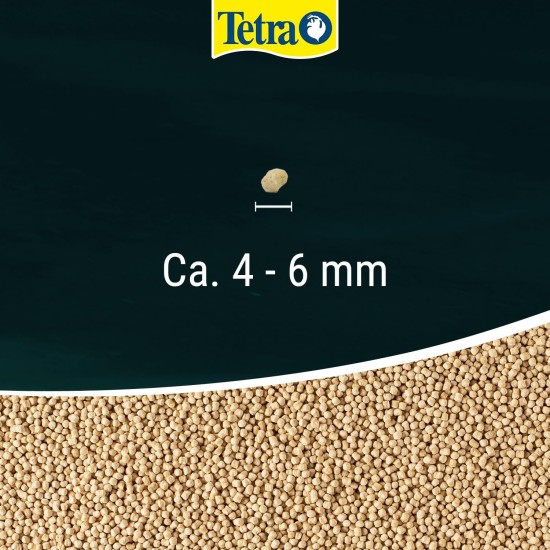 Tetra Pond Sticks Fish Food for All Pond Fish, Supports Healthy Fish and Clear Water in the Pond, 10 L Bucket Tetra Pond Sticks Fish Food for All Pond Fish, Supports Healthy Fish and Clear Water in the Pond, 10 L Bucket