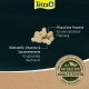 Tetra Pond Sticks, Fish Food for Pond Fish, for Healthy Fish and Clear Water in the Garden Pond, Various Sizes Tetra Pond Sticks, Fish Food for Pond Fish, for Healthy Fish and Clear Water in the Garden Pond, Various Sizes