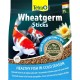 Tetra Pond Wheat Germ Sticks, Pond Fish Food Specially Formulated for Cold Weather Feeding, 7 Litre Tetra Pond Wheat Germ Sticks, Pond Fish Food Specially Formulated for Cold Weather Feeding, 7 Litre