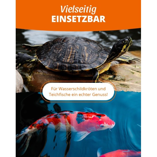 petifool Koi Exquisit, 1 kg, dried feed mix, for turtles and fish, mix of silkworms, shrimps and Gammarus, natural feed petifool Koi Exquisit, 1 kg, dried feed mix, for turtles and fish, mix of silkworms, shrimps and Gammarus, natural feed