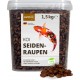 petifool Koi silkworms, 1.5 kg, dried silkworms, healthy insect snack for turtles, fish, birds, reptiles and rodents petifool Koi silkworms, 1.5 kg, dried silkworms, healthy insect snack for turtles, fish, birds, reptiles and rodents