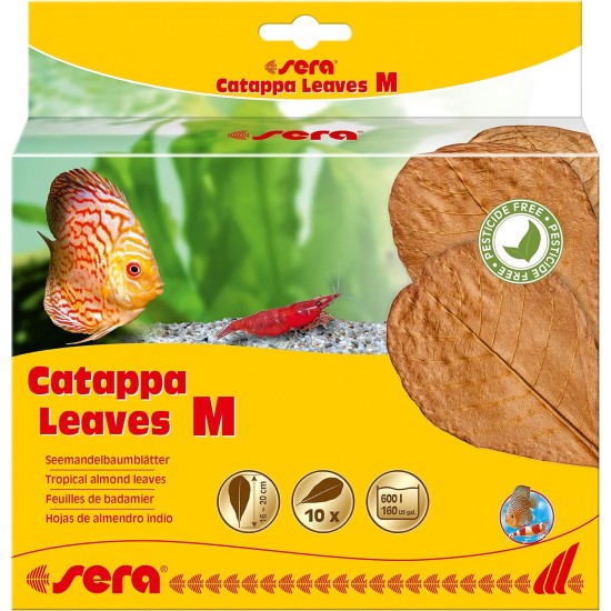 sera 32273 Catappa Leaves sea almond tree leaves for natural water treatment sera 32273 Catappa Leaves sea almond tree leaves for natural water treatment