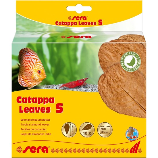 sera 32273 Catappa Leaves sea almond tree leaves for natural water treatment sera 32273 Catappa Leaves sea almond tree leaves for natural water treatment