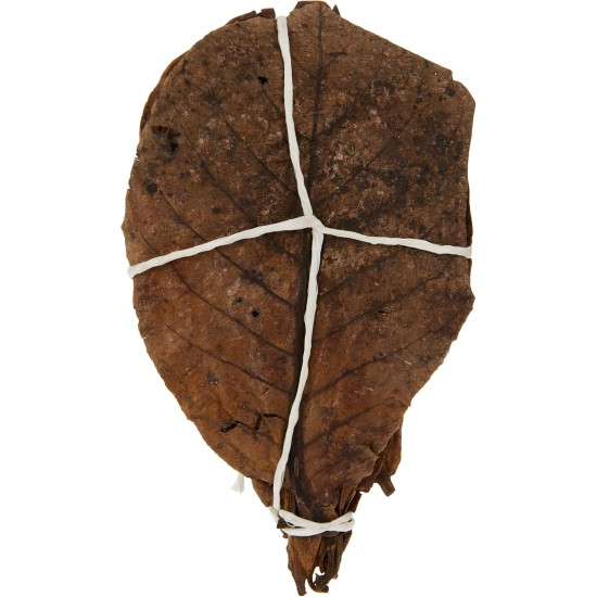 sera 32273 Catappa Leaves sea almond tree leaves for natural water treatment sera 32273 Catappa Leaves sea almond tree leaves for natural water treatment