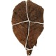 sera 32273 Catappa Leaves sea almond tree leaves for natural water treatment sera 32273 Catappa Leaves sea almond tree leaves for natural water treatment