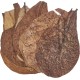 sera 32273 Catappa Leaves sea almond tree leaves for natural water treatment sera 32273 Catappa Leaves sea almond tree leaves for natural water treatment