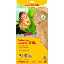 sera 32273 Catappa Leaves sea almond tree leaves for natural water treatment sera 32273 Catappa Leaves sea almond tree leaves for natural water treatment