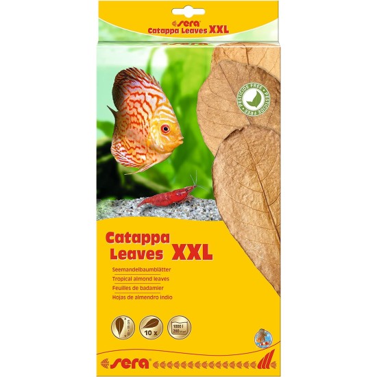sera 32273 Catappa Leaves sea almond tree leaves for natural water treatment sera 32273 Catappa Leaves sea almond tree leaves for natural water treatment