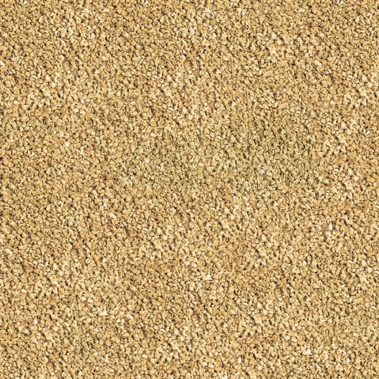 sera Bettagran Colour Food Slow-Sinking Soft Granules with Prebiotics, Lower Water Load and Less Algae, Colour Development by Haematococcus Algae Pack of 2 sera Bettagran Colour Food Slow-Sinking Soft Granules with Prebiotics, Lower Water Load and Less Algae, Colour Development by Haematococcus Algae Pack of 2