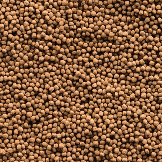sera Goldy Nature The Natural Coldwater Fish Flake Food for Smaller No Artificial Colours or Preservatives sera Goldy Nature The Natural Coldwater Fish Flake Food for Smaller No Artificial Colours or Preservatives