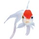 sera Goldy Nature The Natural Coldwater Fish Flake Food for Smaller No Artificial Colours or Preservatives sera Goldy Nature The Natural Coldwater Fish Flake Food for Smaller No Artificial Colours or Preservatives