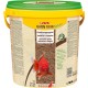 sera Goldy Nature The Natural Coldwater Fish Flake Food for Smaller No Artificial Colours or Preservatives sera Goldy Nature The Natural Coldwater Fish Flake Food for Smaller No Artificial Colours or Preservatives