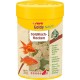 sera Goldy Nature The Natural Coldwater Fish Flake Food for Smaller No Artificial Colours or Preservatives sera Goldy Nature The Natural Coldwater Fish Flake Food for Smaller No Artificial Colours or Preservatives