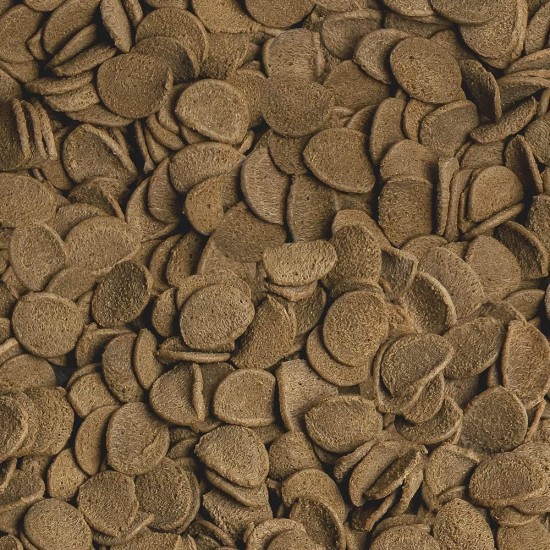 sera Vipachips Nature 1 L Main Staple Food Made of Chips with 4% Insect Flour, Fish Food for All Bottom-Dwellers, With Very High Food Usability And Thus Less Algae sera Vipachips Nature 1 L Main Staple Food Made of Chips with 4% Insect Flour, Fish Food for All Bottom-Dwellers, With Very High Food Usability And Thus Less Algae