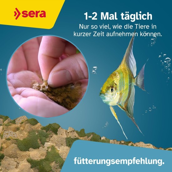 sera Vipan Nature Large Flake 10 L (2 kg) XL Staple Food with 4% Insect Flour and Prebiotic Effect, Flake Food for Aquarium, Fish Food with Very High Usability, Therefore Less Algae sera Vipan Nature Large Flake 10 L (2 kg) XL Staple Food with 4% Insect Flour and Prebiotic Effect, Flake Food for Aquarium, Fish Food with Very High Usability, Therefore Less Algae