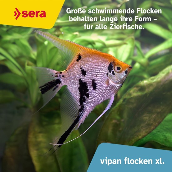 sera Vipan Nature Large Flake 10 L (2 kg) XL Staple Food with 4% Insect Flour and Prebiotic Effect, Flake Food for Aquarium, Fish Food with Very High Usability, Therefore Less Algae sera Vipan Nature Large Flake 10 L (2 kg) XL Staple Food with 4% Insect Flour and Prebiotic Effect, Flake Food for Aquarium, Fish Food with Very High Usability, Therefore Less Algae