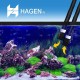 Fluval outer filter. Fluval outer filter.