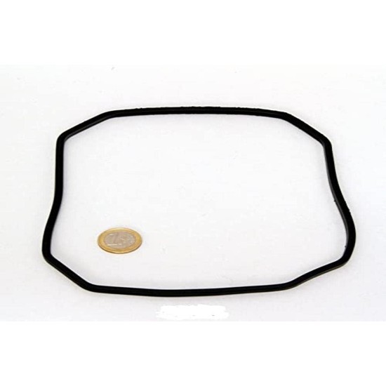 JBL CP e4/7/900/1,2 Pump head rubber gasket, Spare part for CristalProfi e external filter JBL CP e4/7/900/1,2 Pump head rubber gasket, Spare part for CristalProfi e external filter