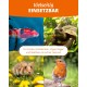 Blütenfest (flower festival), 380 g, supplementary feed for rodents, natural rodent feed for rabbits, guinea pigs, hamsters, chinchilla & more, no artificial additives, 100% natural, species-appropriate feed Blütenfest (flower festival), 380 g, supplementary feed for rodents, natural rodent feed for rabbits, guinea pigs, hamsters, chinchilla & more, no artificial additives, 100% natural, species-appropriate feed