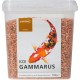 Blütenfest (flower festival), 380 g, supplementary feed for rodents, natural rodent feed for rabbits, guinea pigs, hamsters, chinchilla & more, no artificial additives, 100% natural, species-appropriate feed Blütenfest (flower festival), 380 g, supplementary feed for rodents, natural rodent feed for rabbits, guinea pigs, hamsters, chinchilla & more, no artificial additives, 100% natural, species-appropriate feed