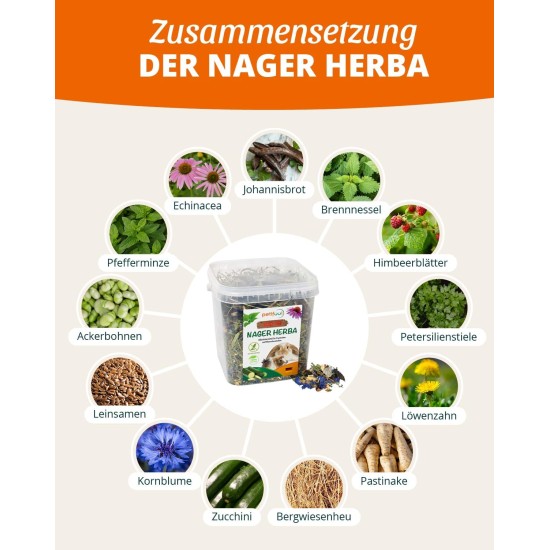 Blütenfest (flower festival), 380 g, supplementary feed for rodents, natural rodent feed for rabbits, guinea pigs, hamsters, chinchilla & more, no artificial additives, 100% natural, species-appropriate feed Blütenfest (flower festival), 380 g, supplementary feed for rodents, natural rodent feed for rabbits, guinea pigs, hamsters, chinchilla & more, no artificial additives, 100% natural, species-appropriate feed