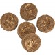 Dehner Natura Premium Hedgehog Snack, Protein Rich Hedgehog Food, Protein Biscuits in Various Varieties, 450 g Dehner Natura Premium Hedgehog Snack, Protein Rich Hedgehog Food, Protein Biscuits in Various Varieties, 450 g