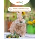 Gemüsefarm (vegetable farm), 500 g, supplementary feed for rodents, natural rodent feed for rabbits, guinea pigs, hamsters, chinchilla & more, no artificial additives, 100% natural, species-appropriate feed Gemüsefarm (vegetable farm), 500 g, supplementary feed for rodents, natural rodent feed for rabbits, guinea pigs, hamsters, chinchilla & more, no artificial additives, 100% natural, species-appropriate feed