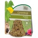 Grainless Hay Bell Hibiscus Grainless Hay Bell Hibiscus