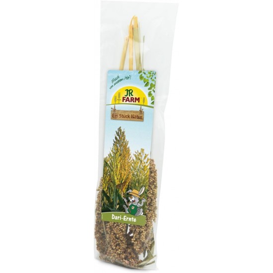 JR ESN Dari Harvest 80 g JR ESN Dari Harvest 80 g