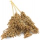 JR ESN Dari Harvest 80 g JR ESN Dari Harvest 80 g