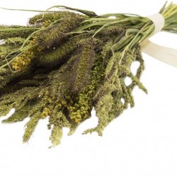 JR FARM Birds Millet Pot Pourri 50g