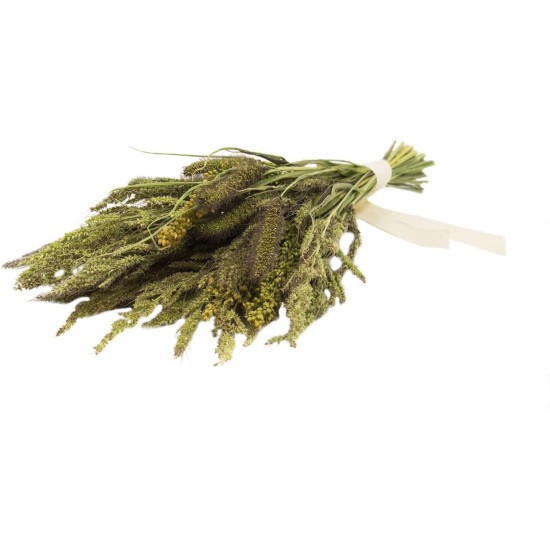 JR FARM Birds Millet Pot Pourri 50g