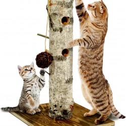 JR FARM Cat 'BtI' Nature Active Tree