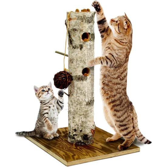 JR FARM Cat 'BtI' Nature Active Tree JR FARM Cat 'BtI' Nature Active Tree