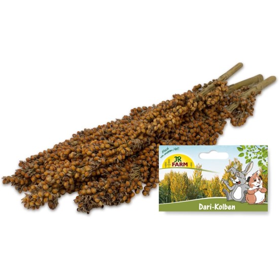 JR FARM Dari Piston Rodent 100 g JR FARM Dari Piston Rodent 100 g