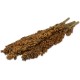 JR FARM Dari Piston Rodent 100 g JR FARM Dari Piston Rodent 100 g