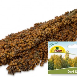 JR FARM Dari Piston Rodent 100 g