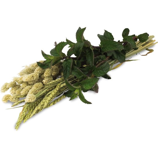 JR FARM ESN Herb Harvest 80 g JR FARM ESN Herb Harvest 80 g