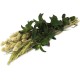 JR FARM ESN Herb Harvest 80 g JR FARM ESN Herb Harvest 80 g
