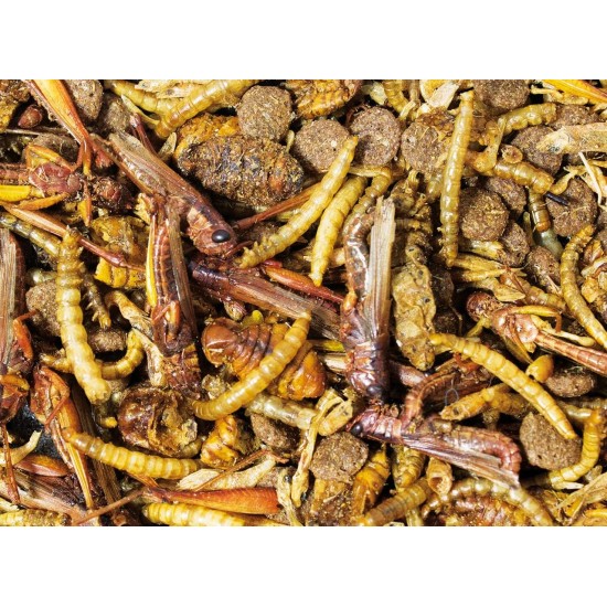 JR FARM Garden Hedgehog Snack 100g JR FARM Garden Hedgehog Snack 100g