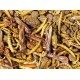 JR FARM Garden Hedgehog Snack 100g JR FARM Garden Hedgehog Snack 100g
