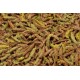 JR FARM Grainless Health Complete Guinea Pig 600 g JR FARM Grainless Health Complete Guinea Pig 600 g